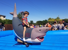 mechanical-bull-shark-rentals